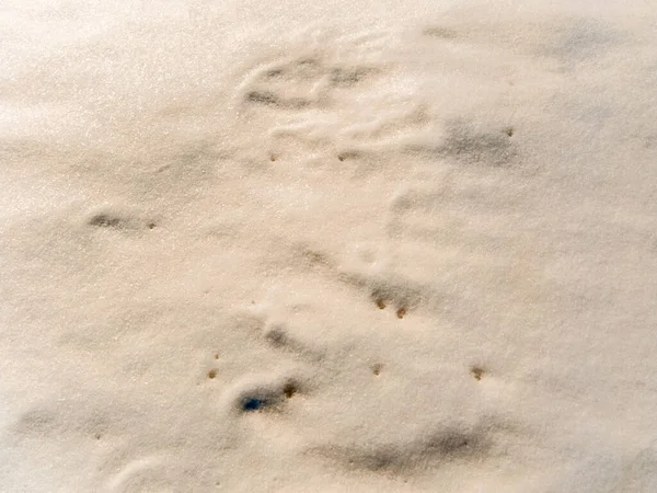 Schatten Muster Und Linien Auf Der Schneeoberfläche Textur Hintergrund Tonnenweise — Stockfoto