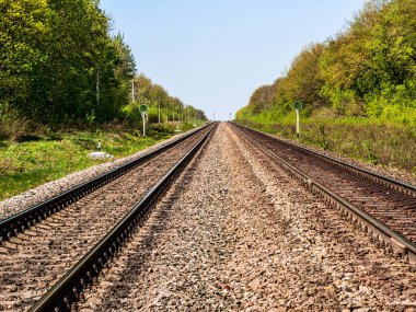 Ormandan geçen demiryolu, uzaklığa gidiyor. Açık, güneşli bir yaz günü