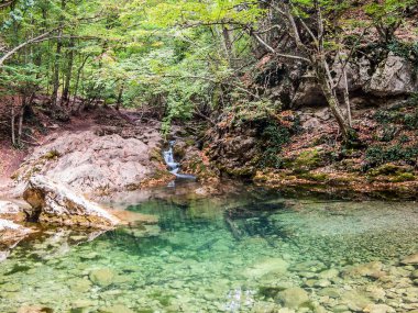 Kırım 'daki Büyük Kanyon' un dibinde, sık bir ormanın içinde. Ağaçlar akarsu yüzeyine yansıyor.