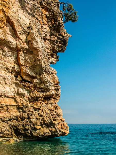 Skála Středozemním Moři Borovicí Vrcholu Sever Vesnice Beldibi Provincii Antalya — Stock fotografie