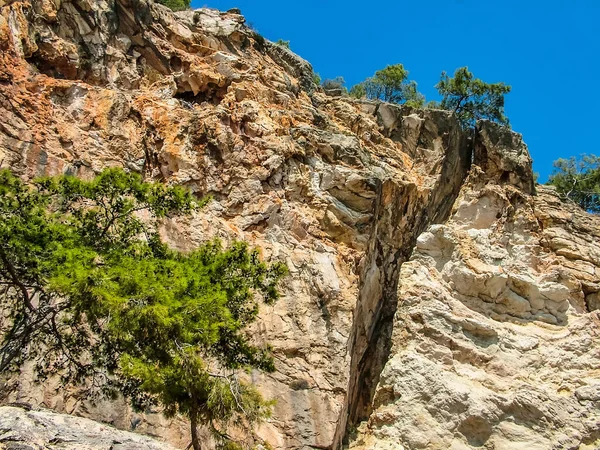 Rocha Pedregosa Com Pinheiros Verdes Costa Mediterrâneo Perto Aldeia Beldibi — Fotografia de Stock