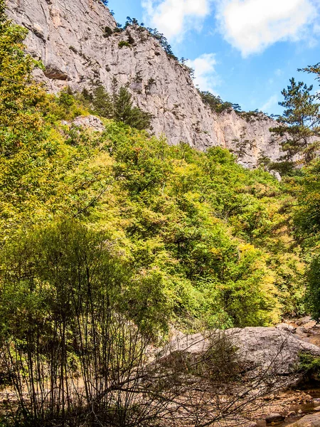 Kırım Daki Büyük Kanyon Dibinde Sık Bir Ormanın Içinde Mavi — Stok fotoğraf