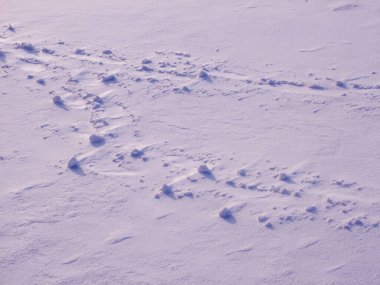 Kar yüzeyindeki gölgeler ve figürler