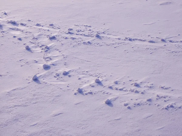 雪の表面の影と人物 — ストック写真