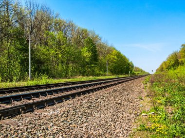 Ormandan geçen demiryolu, uzaklığa gidiyor. Açık, güneşli bir yaz günü