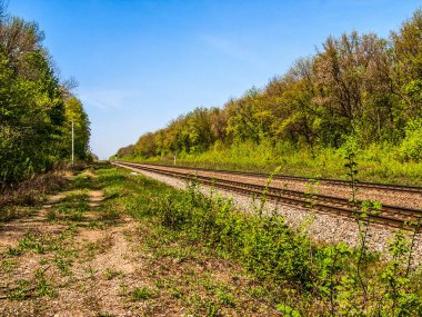 Ormandan geçen demiryolu, uzaklığa gidiyor. Açık, güneşli bir yaz günü