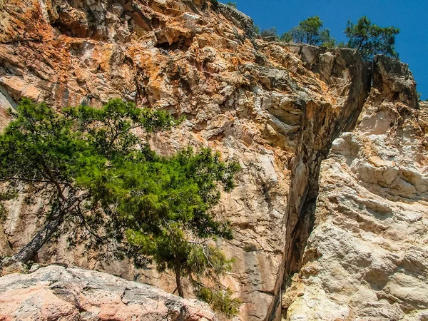 Pins Dans Une Crevasse Montagne Sur Côte Méditerranéenne Nord Village — Photo