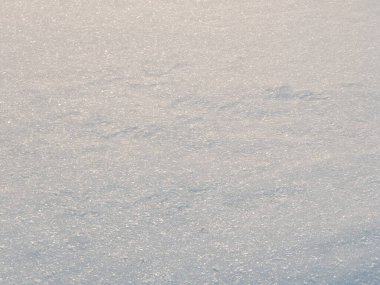 Kar sörfündeki gölgeler