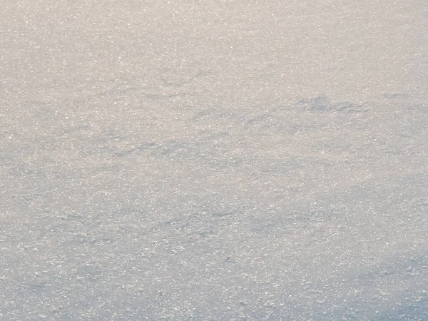 Тіні Поверхні Снігу — стокове фото