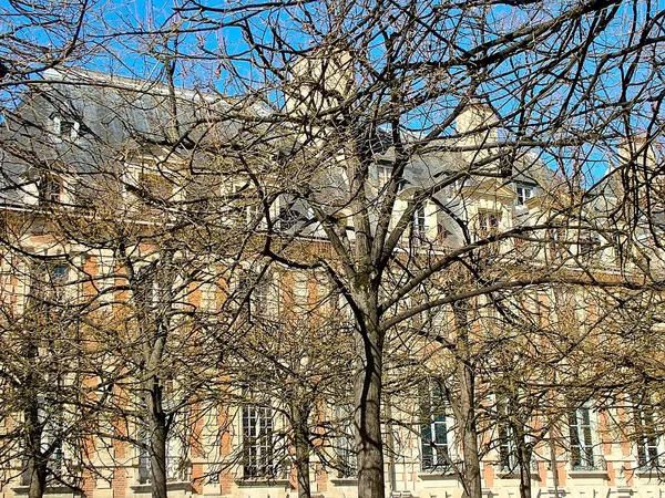 Krásná Budova Pavučině Větví Stromů Place Des Vosges Paříži Začátku — Stock fotografie