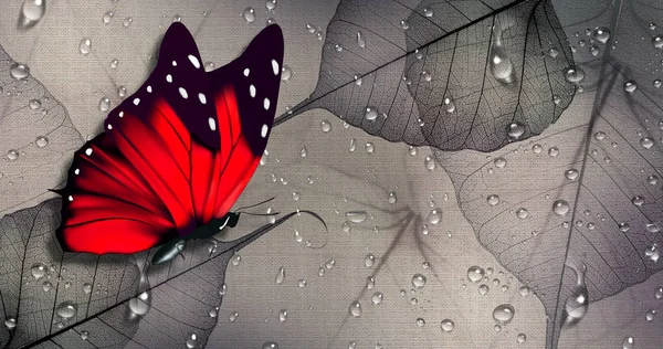 Fondo Pantalla Mariposa Roja Sobre Texturas Lona — Foto de Stock