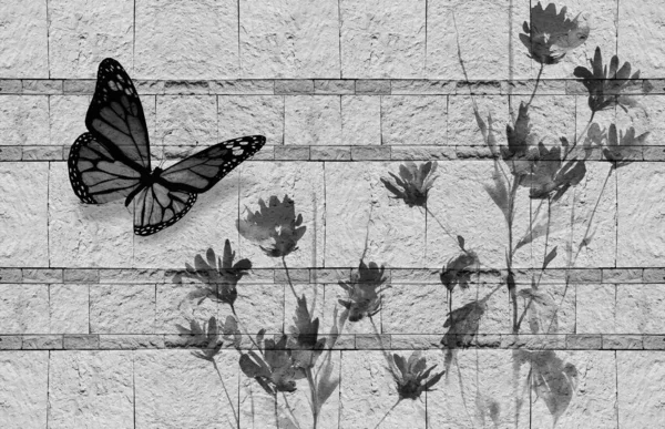 Текстура Фона Полевые Цветы Бабочка Известняке — стоковое фото