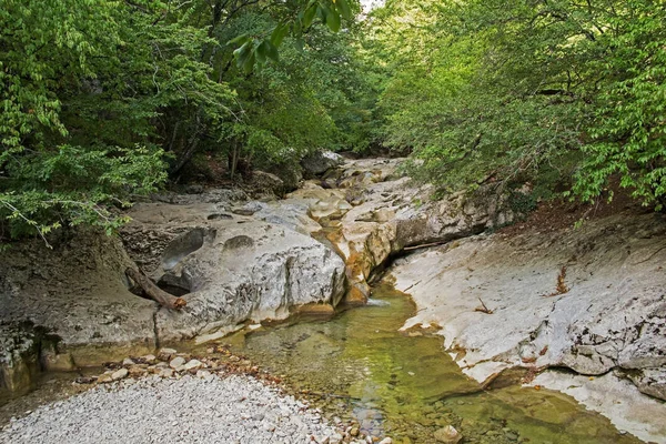 Berg rivier in bos en berg terrein. Krim. — Stockfoto