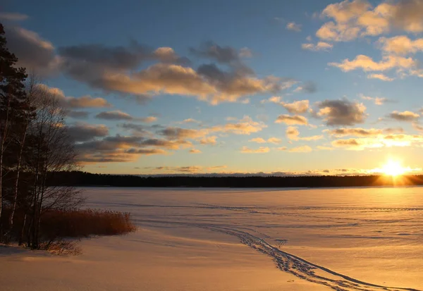 Kerstmis achtergrond met winter forest bij zonsondergang. — Stockfoto