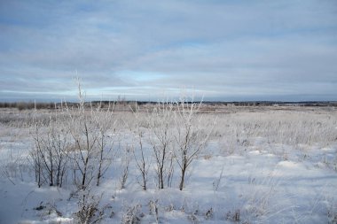 Donmuş ağaçlar ve mavi gökyüzü ile kış manzarası.