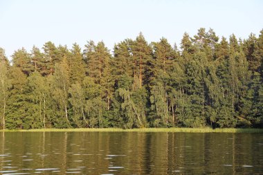 Rusya'daki Orman Gölü yaz aylarında.