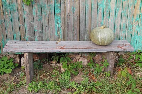 Single green pumpkin on a wooden bench. — Stock Photo, Image