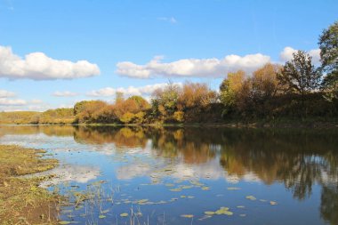 Güzel göl güneşli bir sonbahar. Rusya.