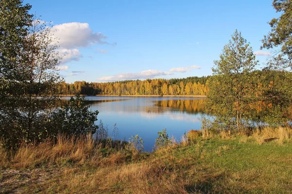 Lago em uma deliciosa floresta de outono no dia ensolarado. Rússia . — Fotografia de Stock