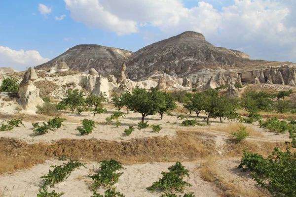 Valle natural con rocas de piedra toba volcánica en Pasabag en Capadocia, Turquía . —  Fotos de Stock