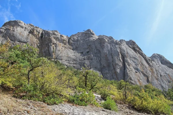 Hermosa naturaleza en la montaña Socol (Sokol) (Halcón) en Crimea . —  Fotos de Stock