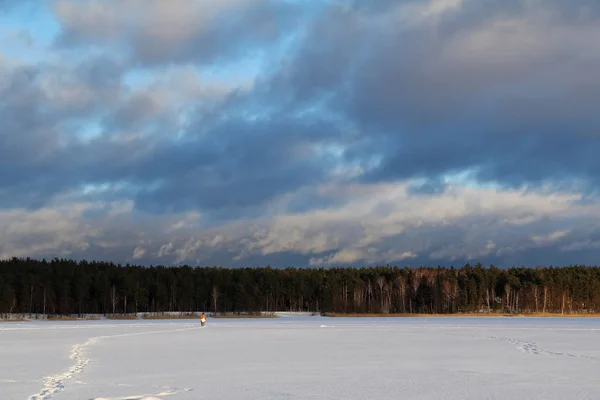 Paisagem de inverno com um belo lago congelado e arbustos à noite . — Fotografia de Stock