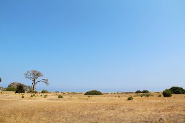 Olympus Milli Parkı, güzel Türkiye manzara. Türkiye.