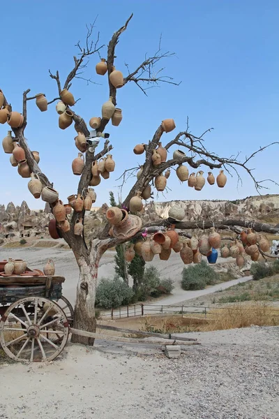 Fája kívánja, agyag edény Cappadocia. Goreme, Nevsehir tartomány, Cappadocia, Közép-Anatólia, Törökország — Stock Fotó