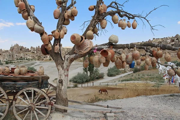 Fája kívánja, agyag edény Cappadocia. Goreme, Nevsehir tartomány, Cappadocia, Közép-Anatólia, Törökország — Stock Fotó