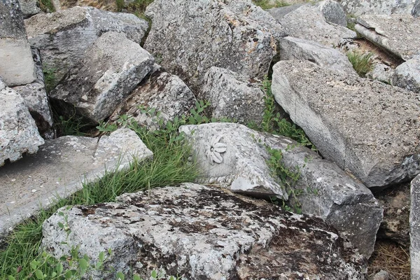 Ruiny starożytnego miasta Hierapolis obok baseny trawertyn Pamukkale, Turcja. Fragmenty płaskorzeźb. — Zdjęcie stockowe