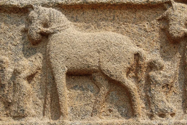 Hampi, Karnataka, Índia - 20 de outubro de 2017: Baixo-relevos de pedra nas paredes ao redor do Templo Vittala . — Fotografia de Stock