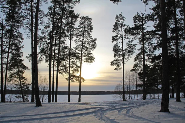 Winterlandschap met prachtige bevroren meer, bomen en struiken bij zonsondergang. — Stockfoto