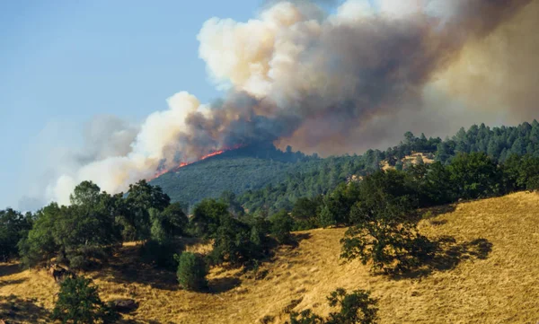 Sırtta yanan ateşi
