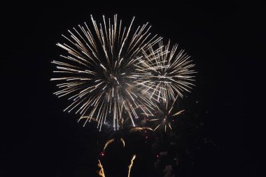 Siyah gece gökyüzünde büyük havai fişek 