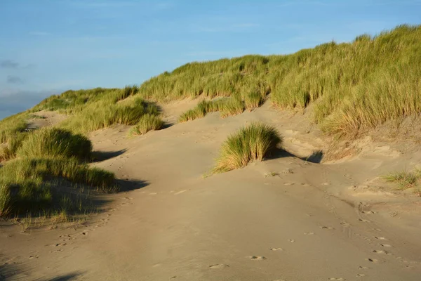 In mezzo a dune di sabbia sul Mare del Nord e con impronte — Foto Stock