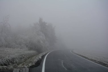 Buzlu ağaçlar ve karayolu sisli bir kış gününde