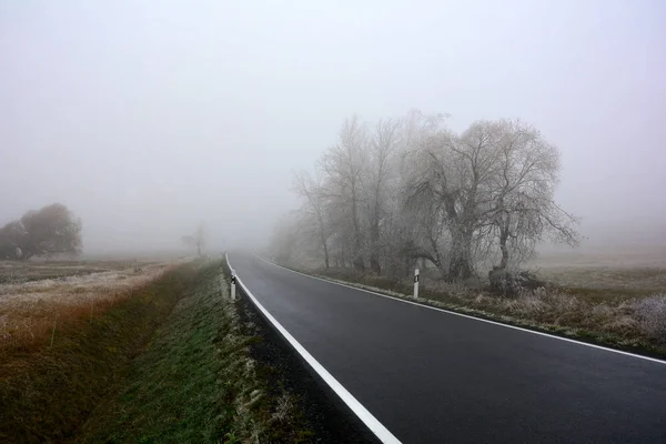 Árboles helados, prado y una carretera en una niebla Día de invierno — Foto de Stock