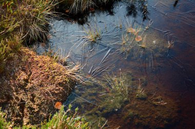 Kara Mağribi 'nin gözleri donmuş suyla çevrili.