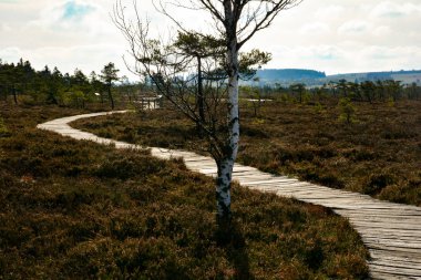 Sonbaharda Bavyera, Almanya 'da, Rh' n 'de yolu olan siyah bozkır.