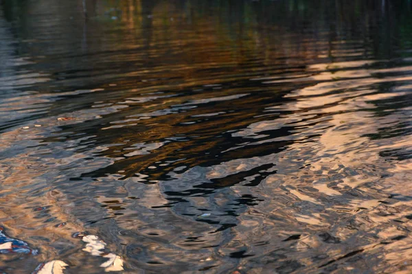 Superficie de agua ondulada con luz dorada nocturna —  Fotos de Stock