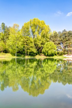 Ağaçları ile deniz