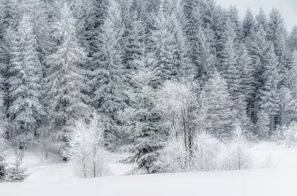 Krajobraz gór śnieg w górach — Zdjęcie stockowe