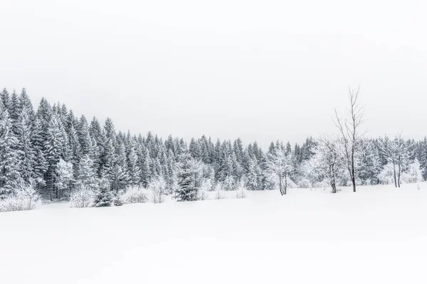 Paesaggio di montagne innevate negli altopiani Foto Stock