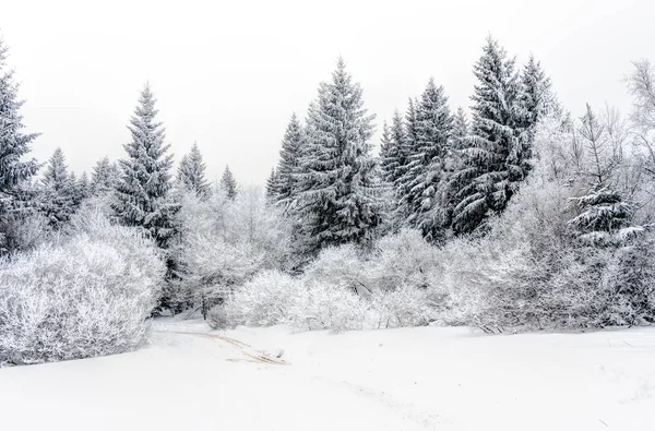 Paisaje de montañas nevadas en las tierras altas — Foto de Stock