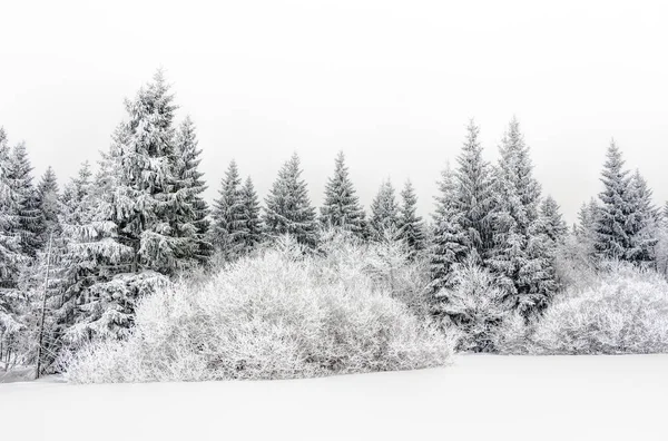 Paesaggio di montagne innevate negli altopiani — Foto Stock