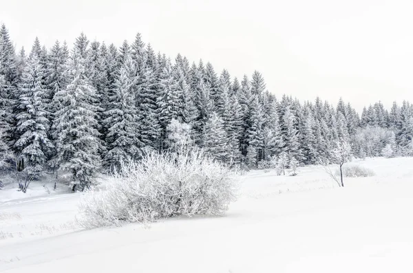 Krajobraz gór śnieg w górach — Zdjęcie stockowe