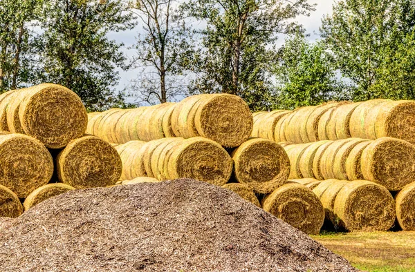 Stacked straw bales — Stock Photo, Image