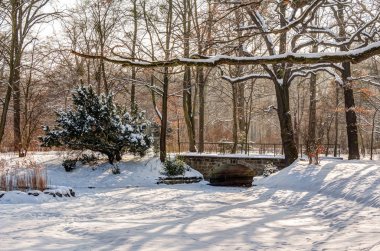 Parkta kış manzarası
