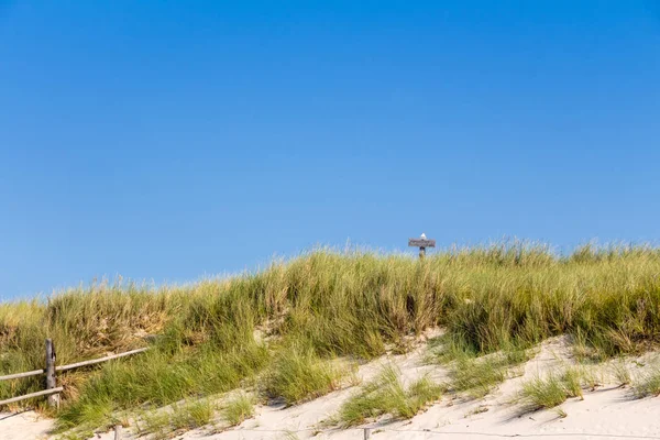 Praia e dunas com beachgrass — Fotografia de Stock