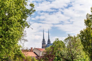 Aziz peter ve paul Katedrali